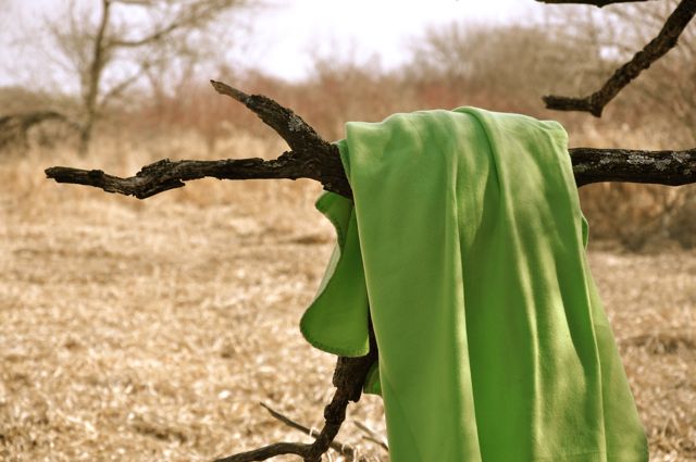 blanket photo